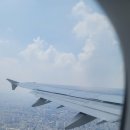 594 | [탑승후기] 호치민에서 홍콩까지 베트남항공 VN594