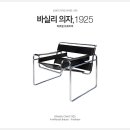 이바이브 이미지