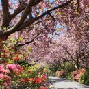 만수노인복지원 이미지