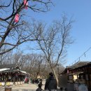 민속촌 | 아이랑 주말 나들이 🙂 한국민속촌 방문 후기 (쿠폰 꿀팁)