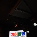 강허달림 20주년 콘서트 Daum카페
