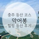 🏞️ 뷰맛집 인정! 충주 가볼만한 곳 악어봉 정상까지 가볍게 한 바퀴 힐링등산후기🌿
