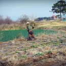 달성농장 이미지