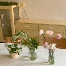 무무플라워 | 시흥 부천 인천 플라워 클래스_ 5월 가정의달 원데이 안내 키즈&amp;성인