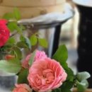 누구나 쉽게 만드는 영양떡 이미지