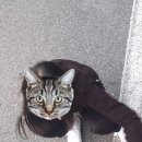 유진건