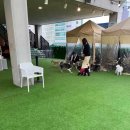 펫타리움 청담점 이미지