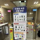 올림픽기념관 수영장 | 안산 올림픽기념관 수영장 평일 자유수영 후기