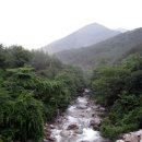 풍산농산 티스토리