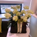 웃는내일치과교정과치과의원 이미지