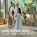 푸꾸옥 고스트 오빠차 북부 빈펄 사파리 투어 추천 / 크라운 스파 포함