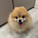 내개로와 이미지