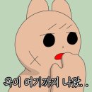 에이티즈 콘서트 [Towards The Light : Will to power] Final In Seoul 후기