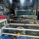 박사펜션 이미지