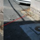 중앙동138 이미지