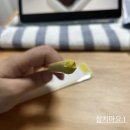 Ashop(에이샵) | 에이샵(Ashop) 현대백화점 중동점 애플펜슬 2세대 / 라인프렌즈 커버스킨 구매 후기