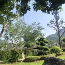 펜션밀물떼 이미지