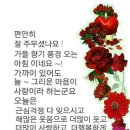 용담초교 이미지