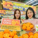 오렌지 뉴스1