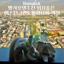 11260-1-18-46 | 방콕호텔추천 위치좋은 이스틴그랜드파야타이 조식맛집 객실 후기