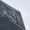 (주)문인 | 2024.11.29. 아케인 팬 페스티벌 후기 + 성수 팝업