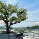 파우 PC방 이미지