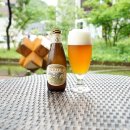 맥주의반란