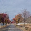 젤루느린달팽이 이미지