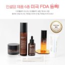 인셀덤꿈틀 | 대체 왜 인셀덤은 핫해진걸까? 인셀덤 사업은 왜 좋다고 하는걸까?
