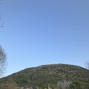 소요산 벚꽃길 야간개장 다녀온 후기