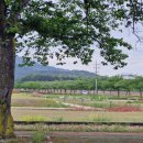 천북카서비스 | 경주로ON과 함께한 경주여행, 경주숙소 추천