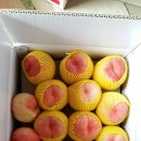 이화숙 농장 네이버블로그