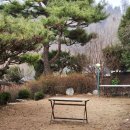 강남베이비스튜디오 아기 300일 가족사진 더띵크스튜디오