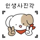 카페쿠잉롤