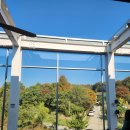 라떼떼 | 원당역 근처 분위기 좋은 카페 라떼떼라 다녀온 후기