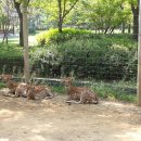 월미농장 이미지