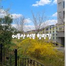 산정동 한국아델리움 | 광주 어등산 등산로 석봉 &amp; 산책로 힐링코스 후기