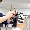 영스('s)헤어