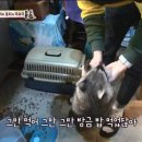 연어이야기 네이버블로그