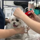 정메디칼 이미지