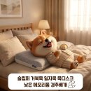 아침길 | 슬립퍼 거북목 일자목 목디스크 낮은 메모리폼 경추베개