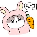 e·조은공인중개사사무소 이미지