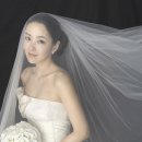 레젤