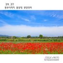 동부드론