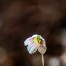 금학산관광농원 이미지