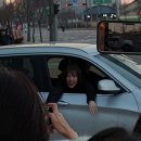 강아지잔칫집 이미지