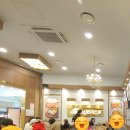 원돈까스 우동 이미지