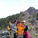 [제14차] 매호산악 4월등산 사진 및 후기 이미지