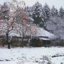 청리초교 이미지