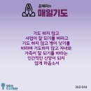 매일365